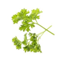 talianske bylinky (kapsule so semenamy, 6 ks) (5)