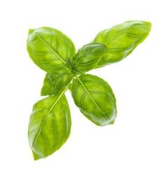 �tartovac� bal��ek (kapsule so semenamy, 4 ks) (7)