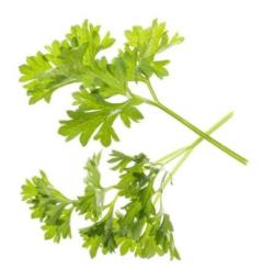 �tartovac� bal��ek (kapsule so semenamy, 4 ks) (6)