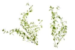 �tartovac� bal��ek (kapsule so semenamy, 4 ks) (4)