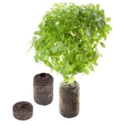 �tartovac� bal��ek (kapsule so semenamy, 4 ks) (2)