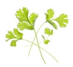 Thajsk� bylinky (kapsule so semenamy, 6 ks)(1)