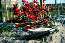 LAGUIOLE SDV-300626 Luxury - vreckov� n��, rukov� �ierny eben (3)