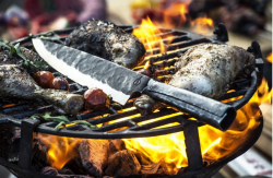 FORGED SDV-304044 Brute - porcovac� n�� 20,5 cm (3)