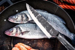 FORGED SDV-304044 Brute - porcovac� n�� 20,5 cm (2)