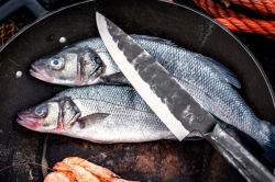 FORGED SDV-304105 Brute - kuch�rsky n�� 20,5 cm (3)