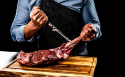 FORGED SDV-625037 Sebra - vykos�ovac� n�� 15 cm (1)