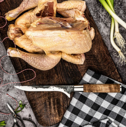 FORGED SDV-625211 VG10 - vykos�ovac� n�� 15 cm (2)