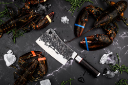 FORGED SDV-627413 Sebra - sek��ik 19 cm (3)