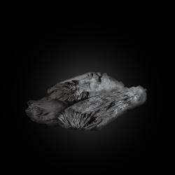 JOSPER LYCHEE BINCHO-TAN BOX 10 kg japonsk� dreven� uhlie Li�i