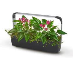 TREGREN T12 Kitchen Garden �ierny T12BEU