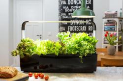 TREGREN T12 Kitchen Garden �ierny T12BEU(1)