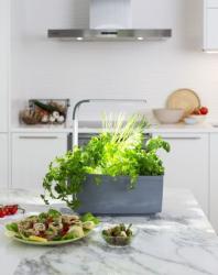 TREGREN T6 Kitchen Garden �ed� T6GEU (1)