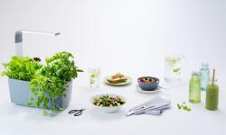 TREGREN T6 Kitchen Garden �ed� T6GEU (3)